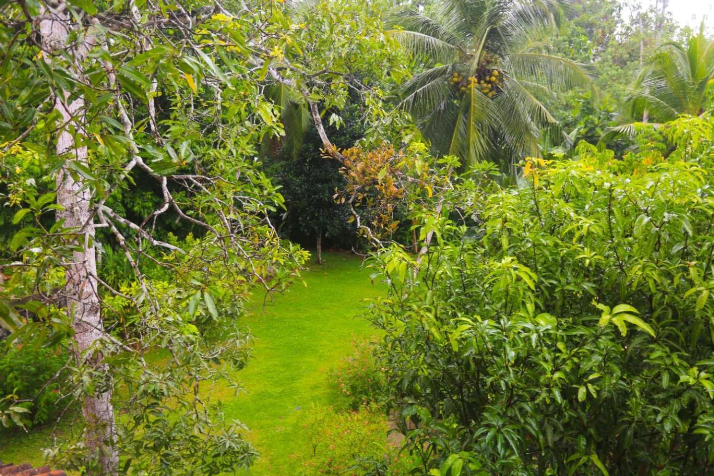 Halcyon Galle Extérieur photo